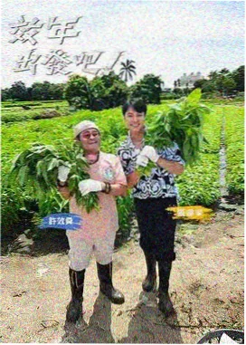 封面与内页色温差观察笔记配图